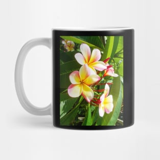 plumeria-flowers-frangipani-floral-awesome-bossoms-shirtyshirto-99 Mug